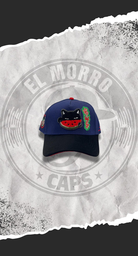 JC HATS WATERMELON CAT